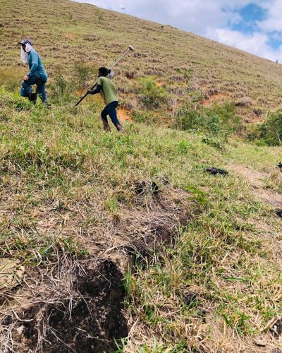 WhatsApp Image 2026-03-11 at 14.51.16